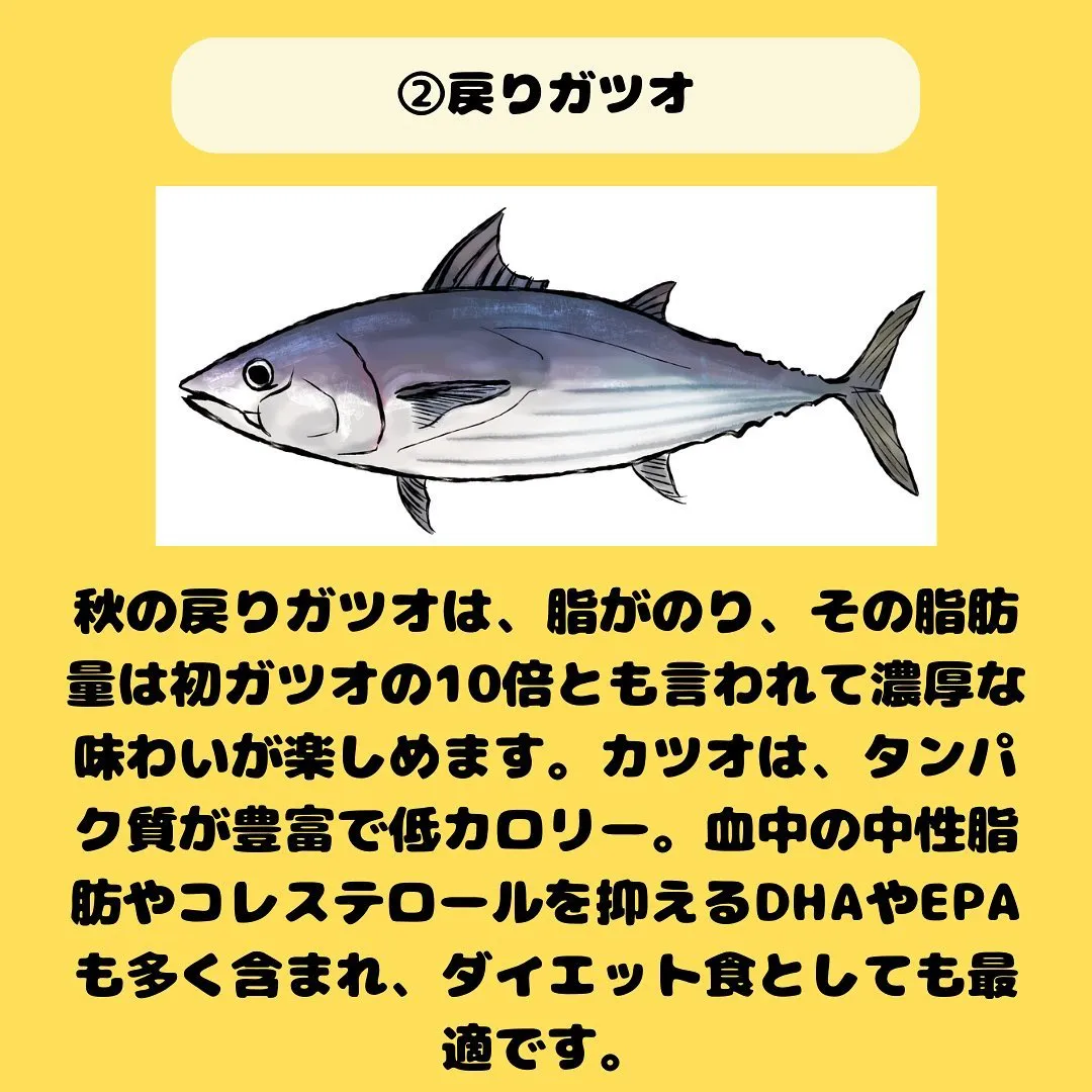 「秋の健康管理：心地よい季節を迎えるためのポイント」