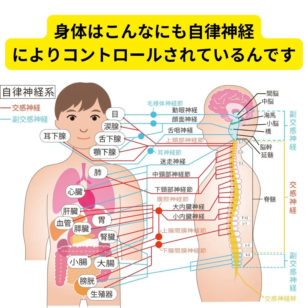 五月病で悩む方におすすめの整体施術