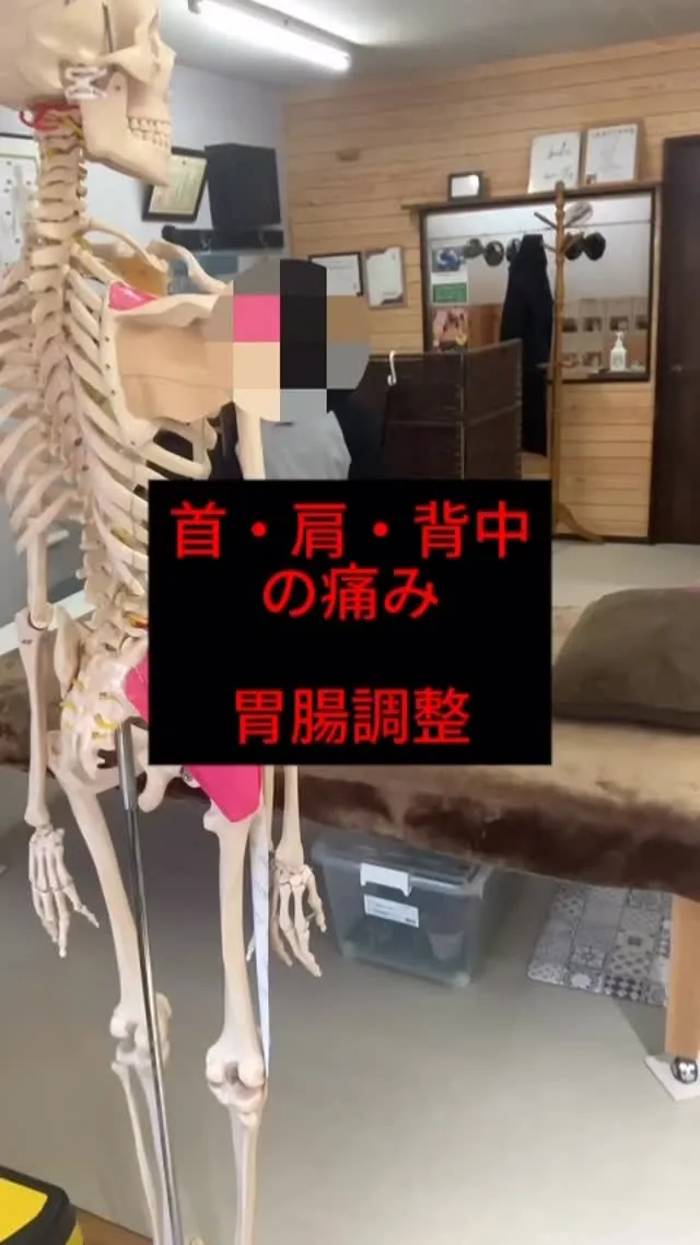 首・肩・背中の痛み